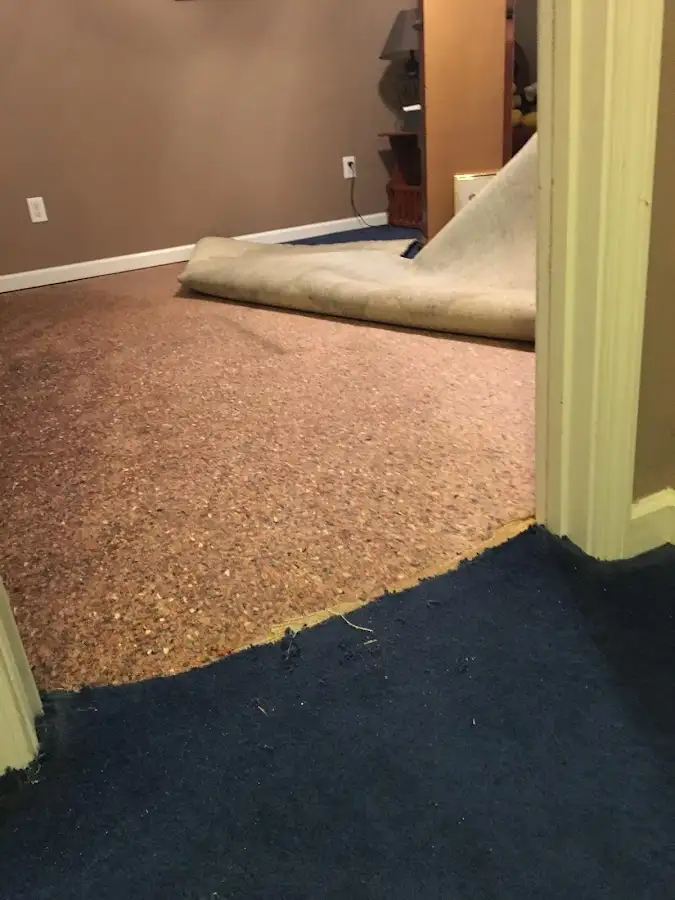 Carpet pad removal revealing water damage during Water Mitigation Services in Jefferson Hills